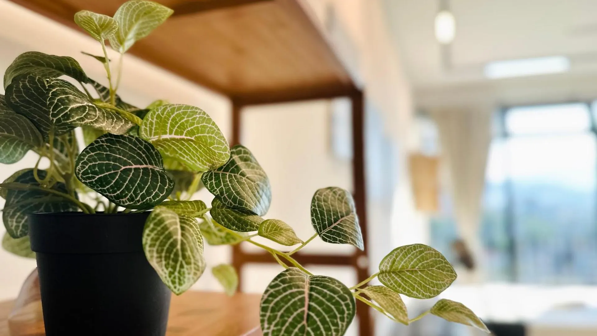 New Georgetown Instagramable 2Br Homestay For 10Pax 无敌美景两房民宿 Beacon Executive Suite 乔治敦